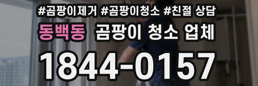 동백동 곰팡이 청소 업체