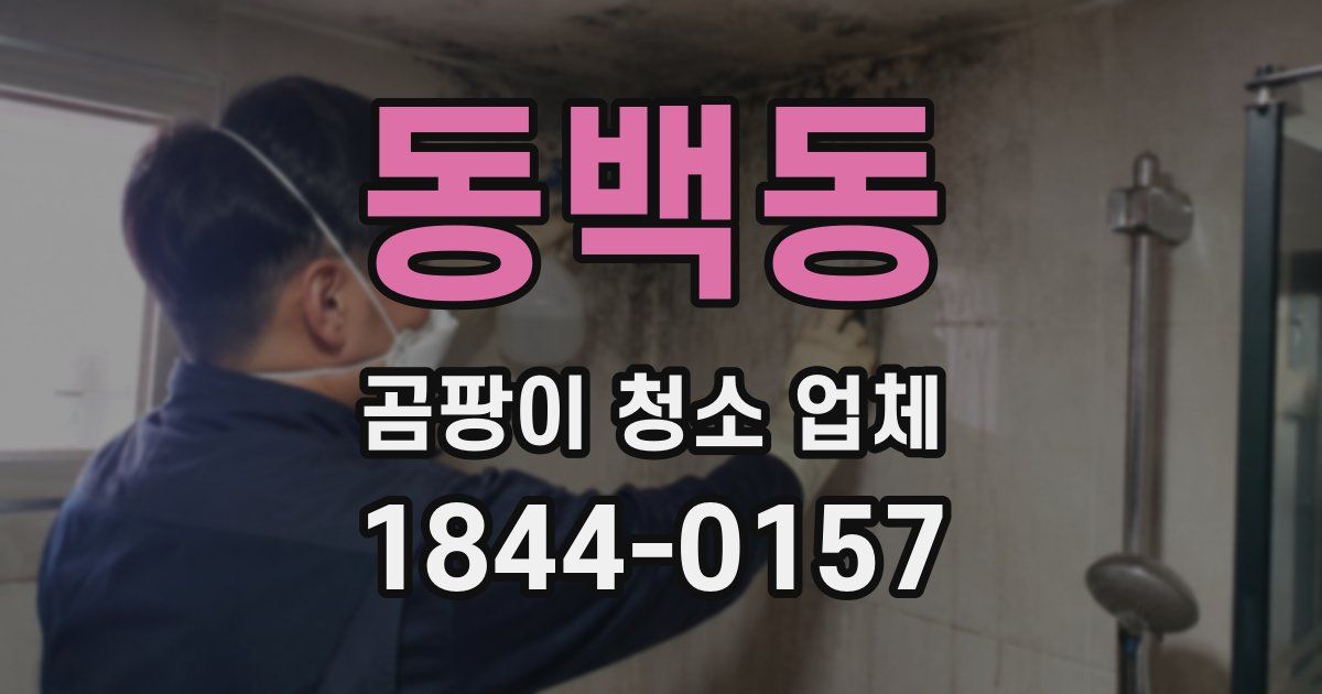 동백동 곰팡이 청소 업체
