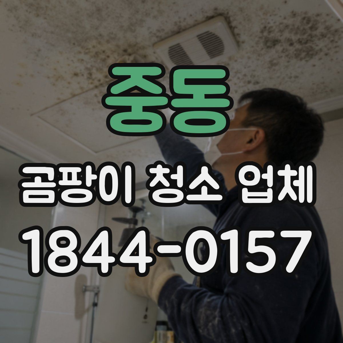 중동 곰팡이 청소 업체 가격 문의 전 확인할 내용
