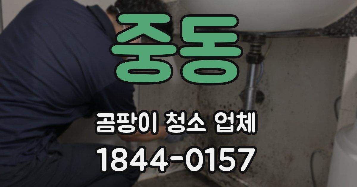 중동 곰팡이 청소 업체