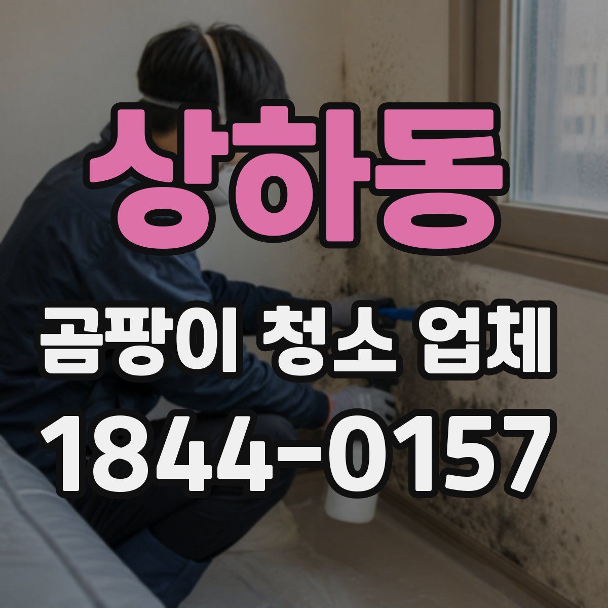 상하동 곰팡이 청소 업체