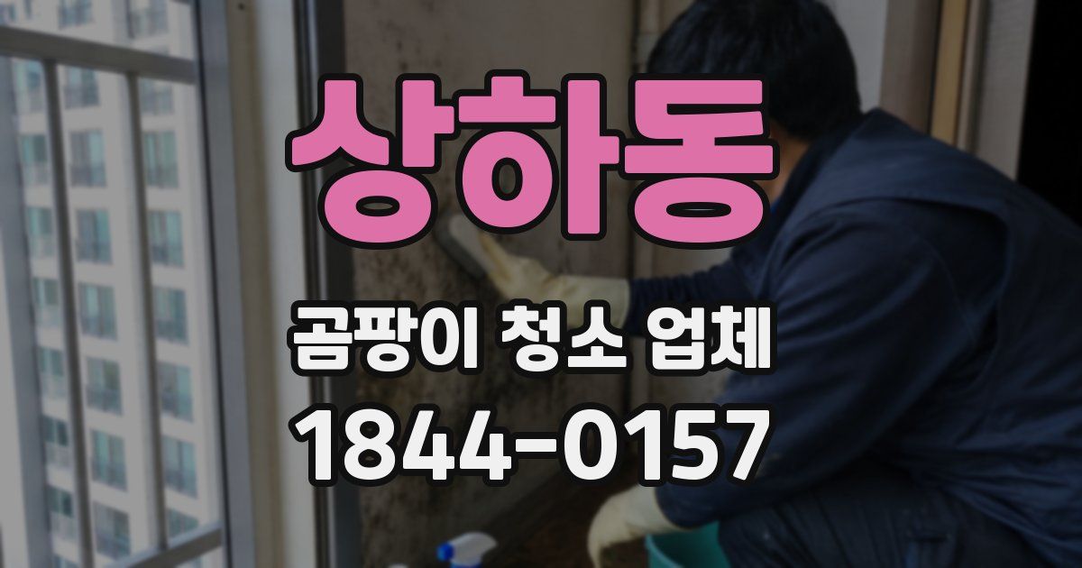 상하동 곰팡이 청소 업체