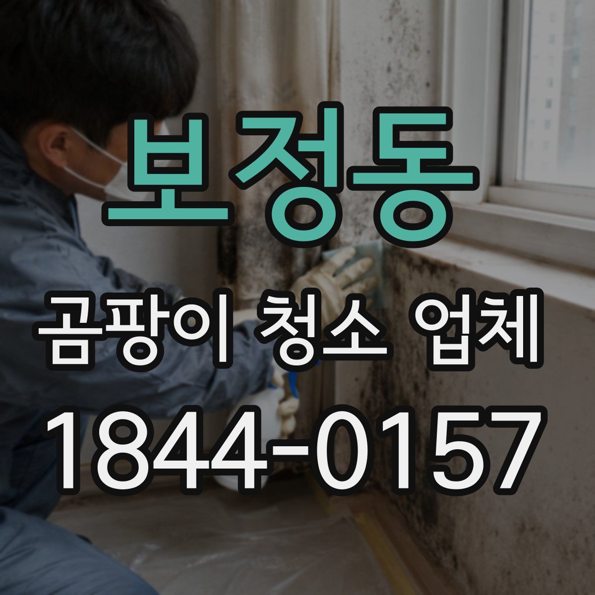 보정동 곰팡이 청소 업체
