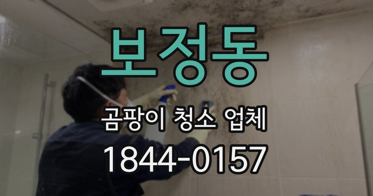 보정동 곰팡이 청소 업체