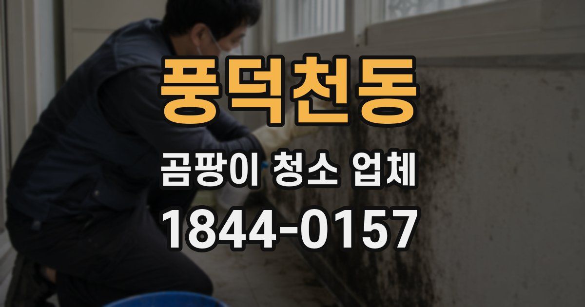 풍덕천동 곰팡이 청소 업체