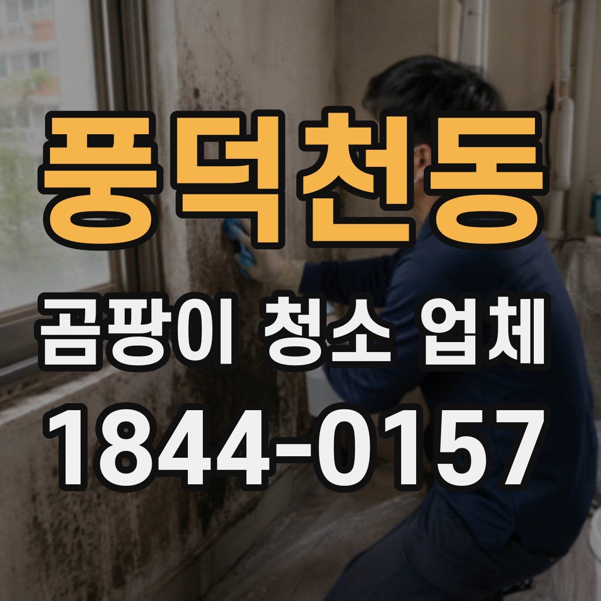 풍덕천동 곰팡이 청소 업체