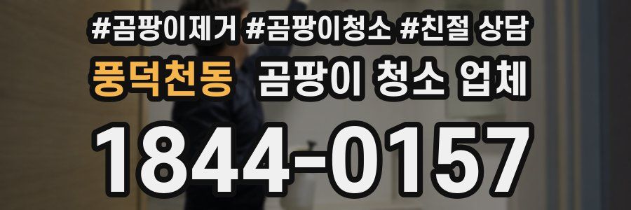 풍덕천동 곰팡이 청소 업체