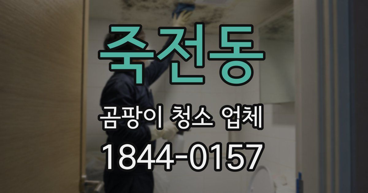 죽전동 곰팡이 청소 업체