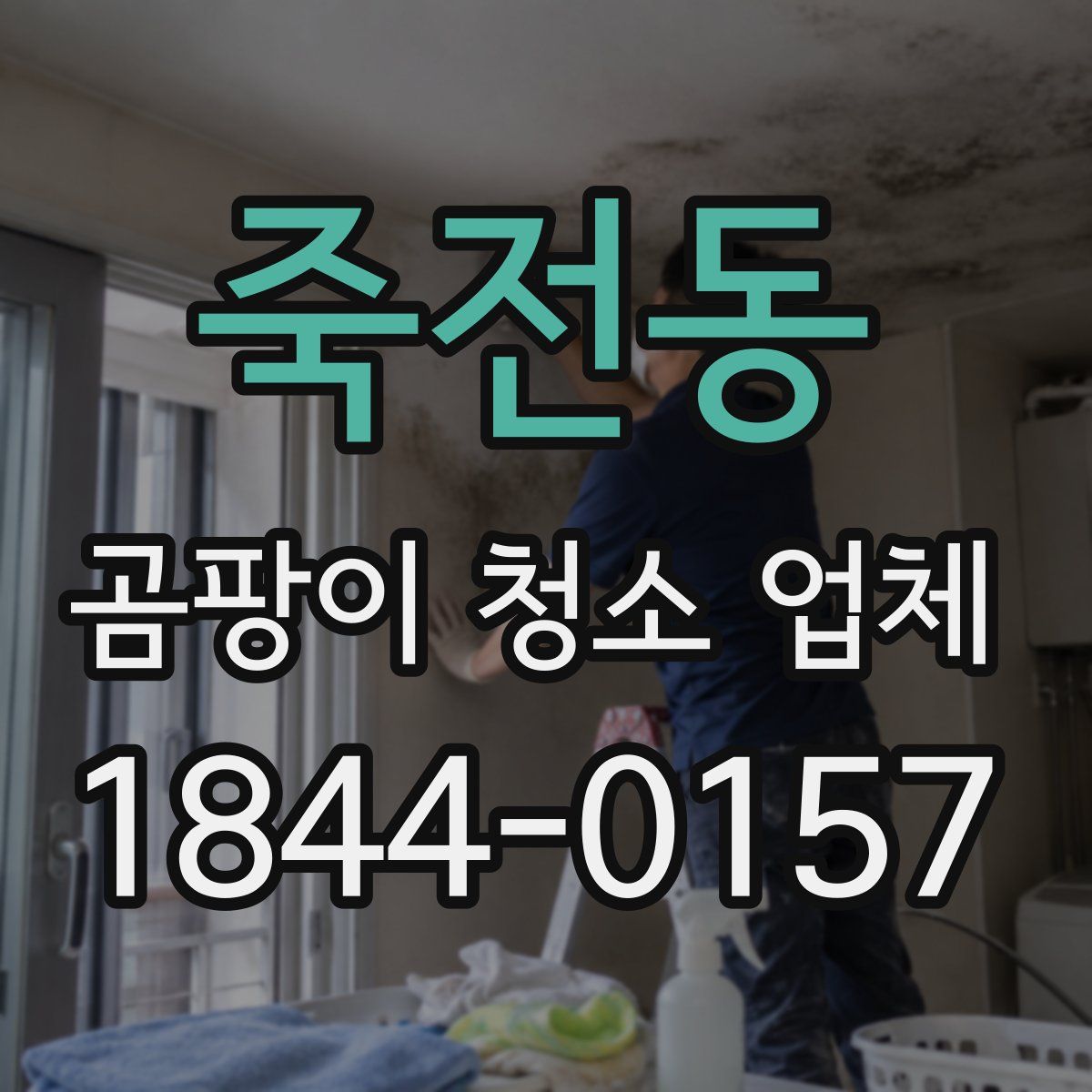 죽전동 곰팡이 청소 업체
