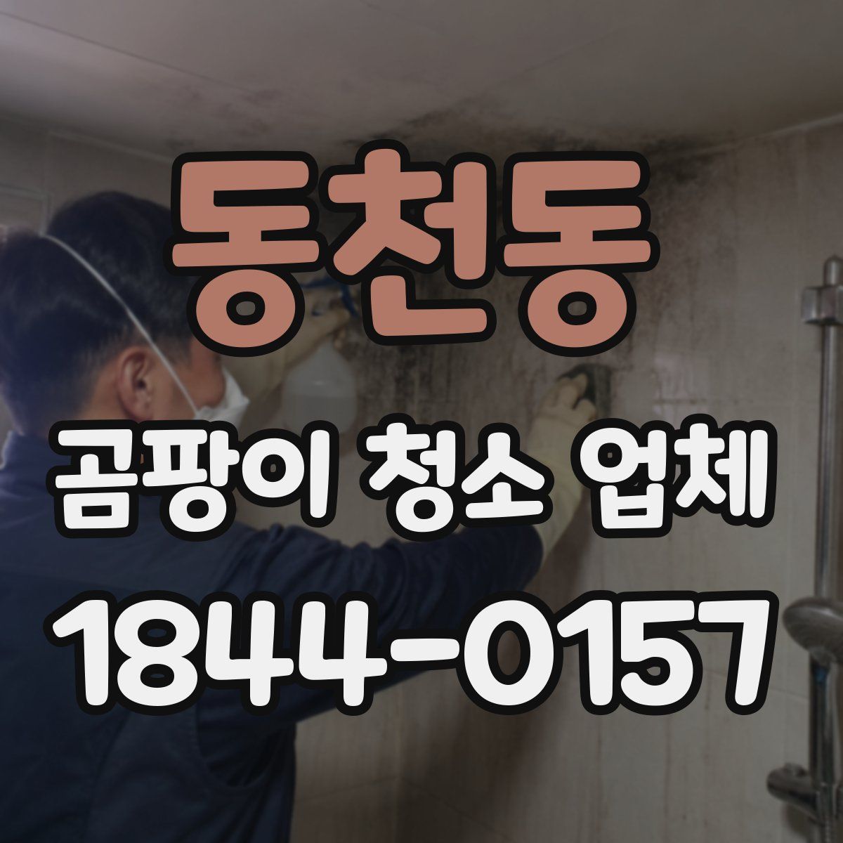 동천동 곰팡이 청소 업체