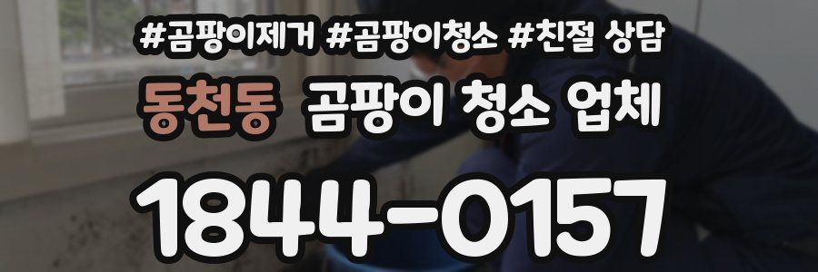 동천동 곰팡이 청소 업체