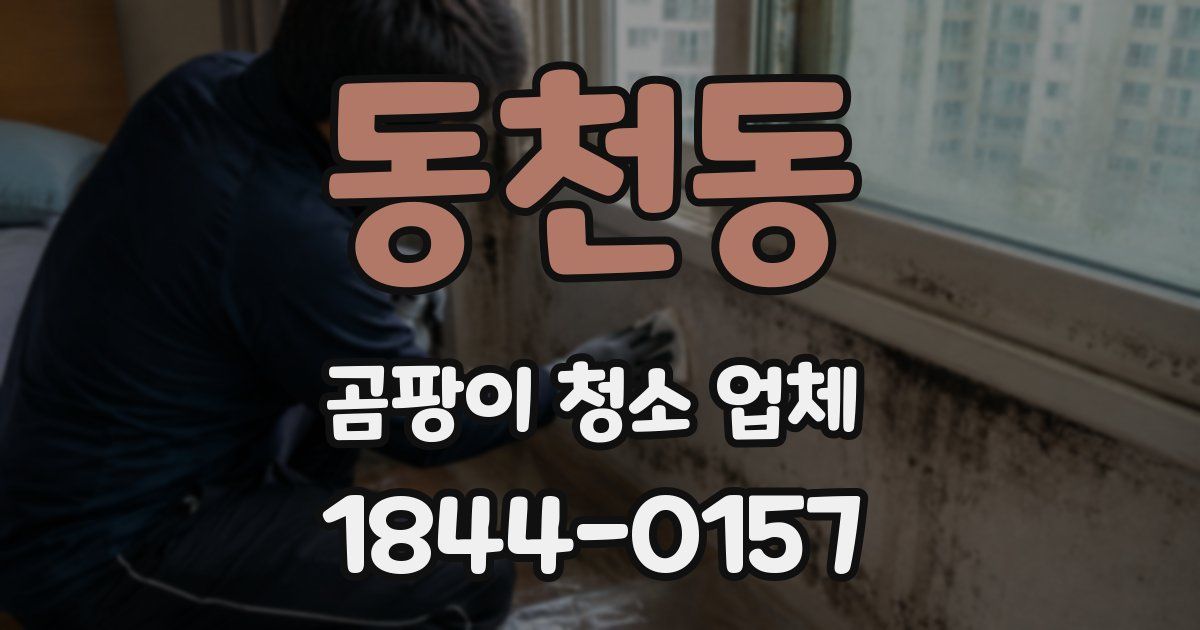 동천동 곰팡이 청소 업체