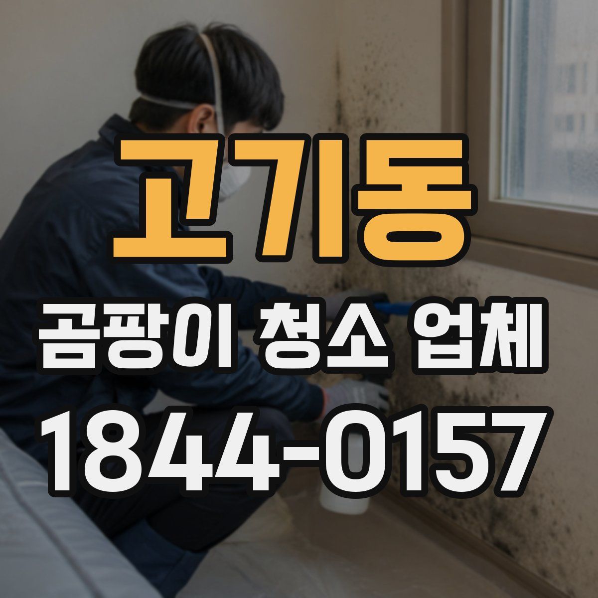 고기동 곰팡이 청소 업체