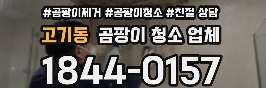 고기동 곰팡이 청소 업체