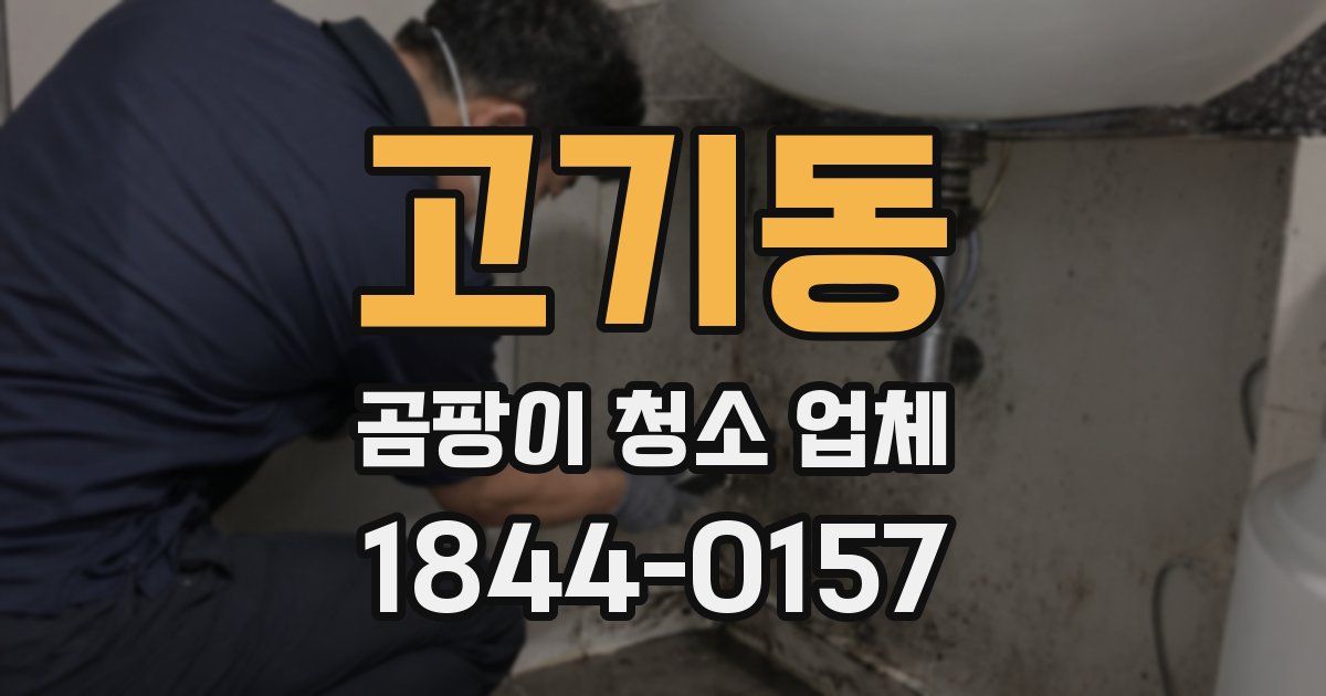 고기동 곰팡이 청소 업체