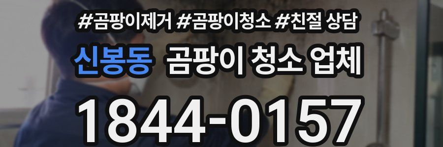 신봉동 곰팡이 청소 업체