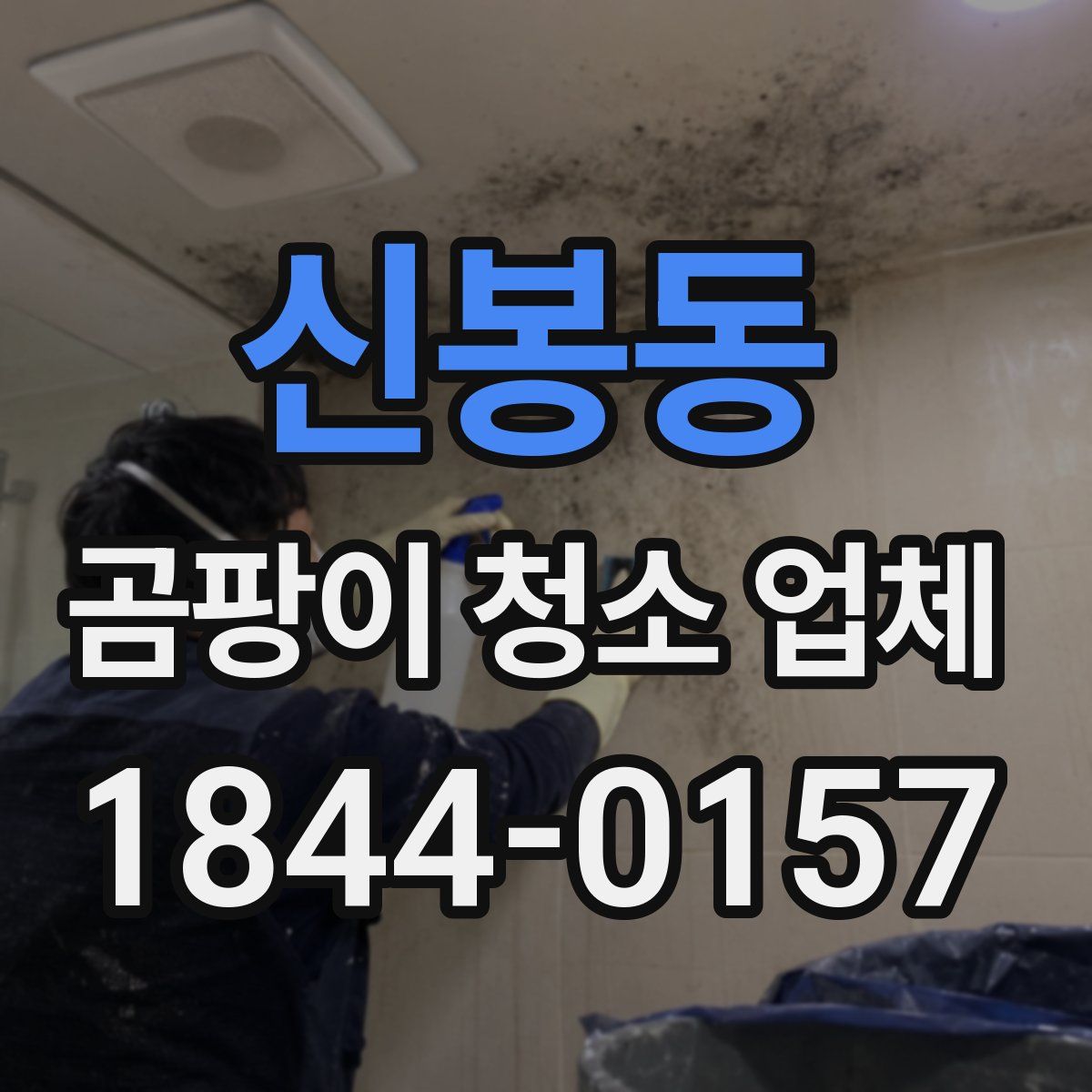 신봉동 곰팡이 청소 업체