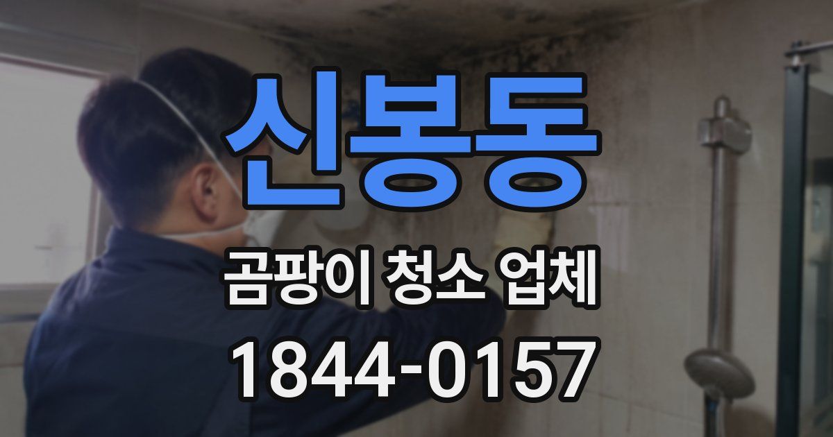 신봉동 곰팡이 청소 업체