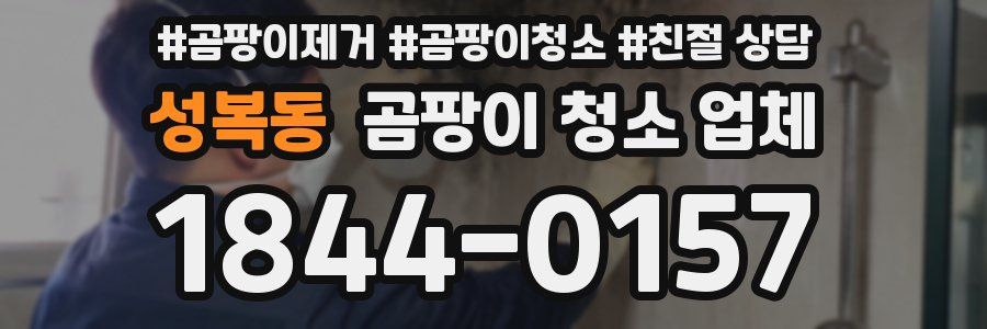 성복동 곰팡이 청소 업체