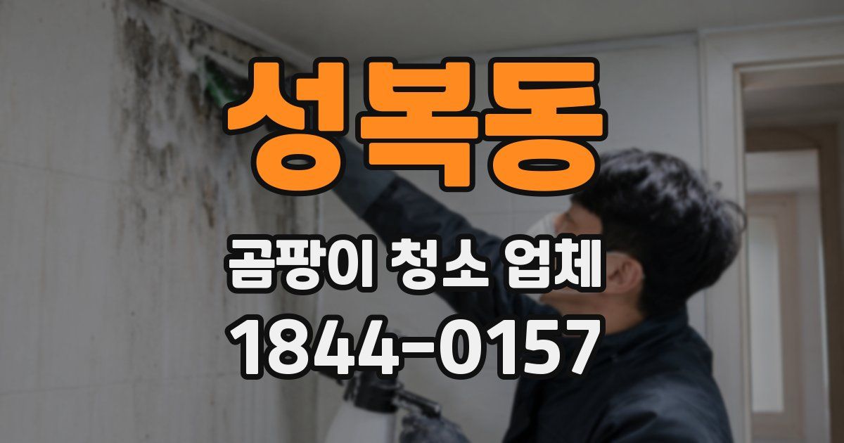 성복동 곰팡이 청소 업체