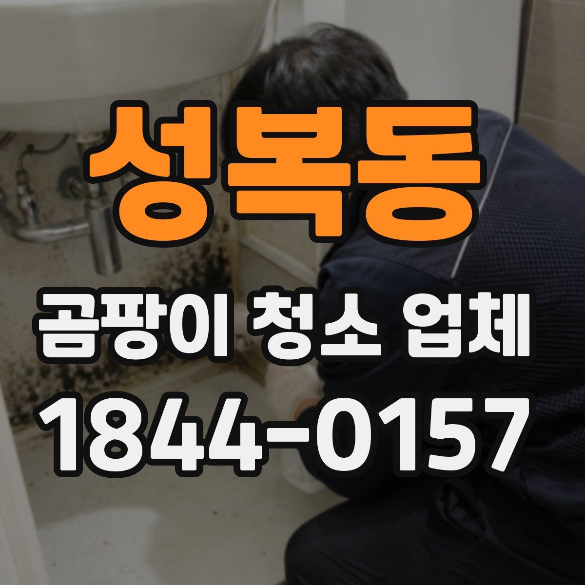 성복동 곰팡이 청소 업체