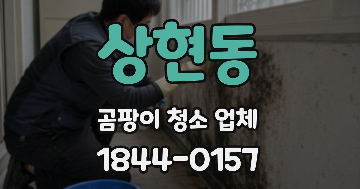 상현동 곰팡이 청소 업체