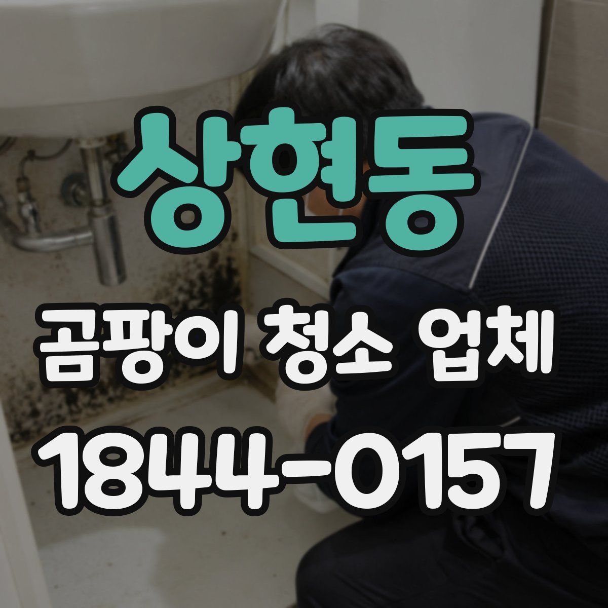 상현동 곰팡이 청소 업체