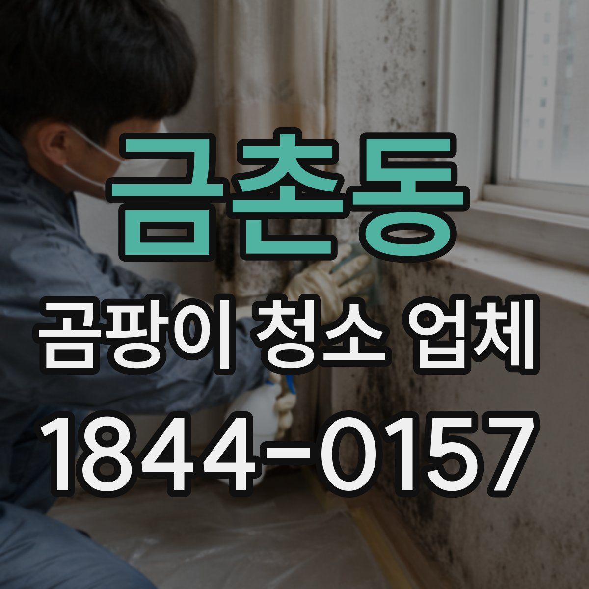 금촌동 곰팡이 청소 업체