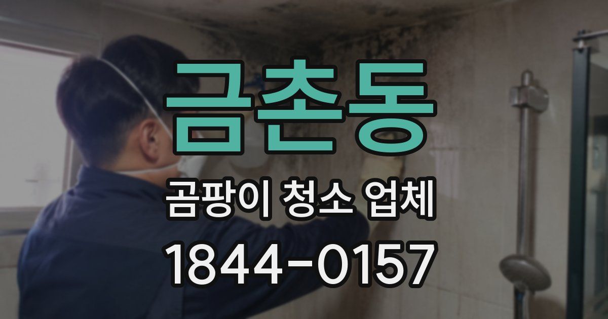 금촌동 곰팡이 청소 업체