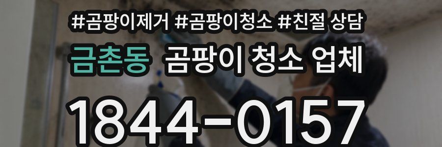 금촌동 곰팡이 청소 업체