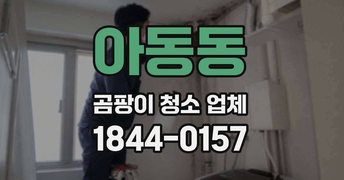 아동동 곰팡이 청소 업체