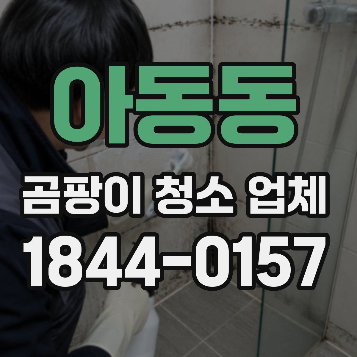 아동동 곰팡이 청소 업체