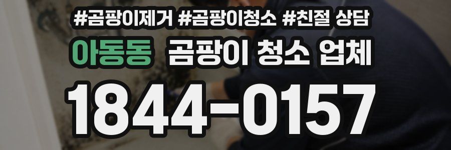 아동동 곰팡이 청소 업체