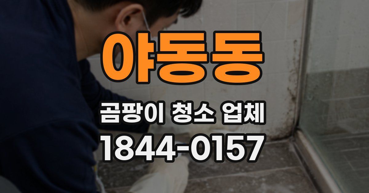 야동동 곰팡이 청소 업체