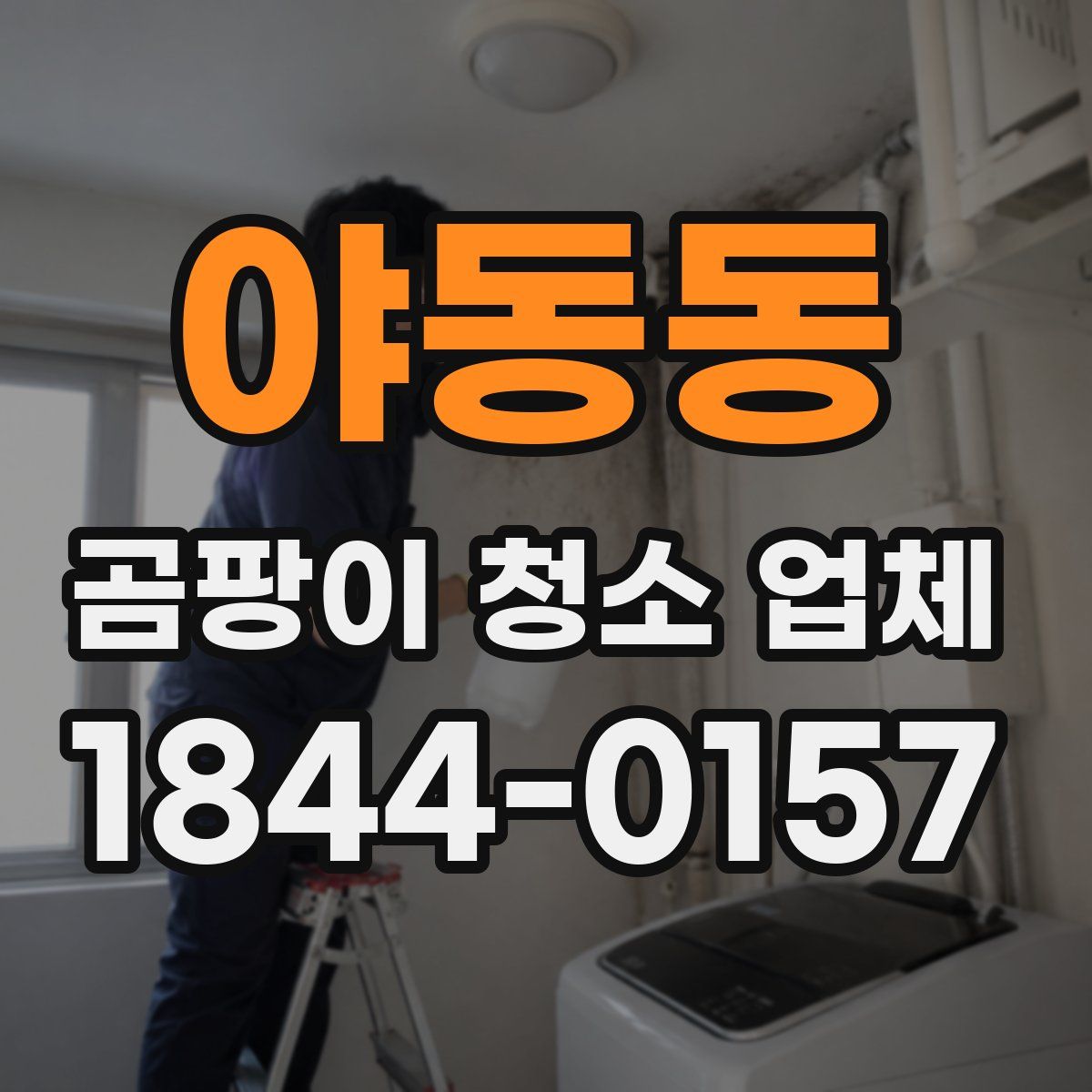 야동동 곰팡이 청소 업체