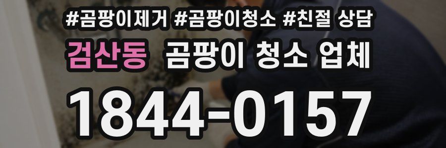 검산동 곰팡이 청소 업체