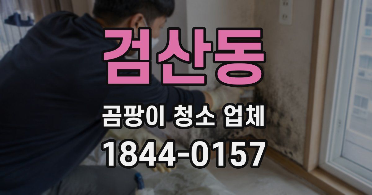 검산동 곰팡이 청소 업체