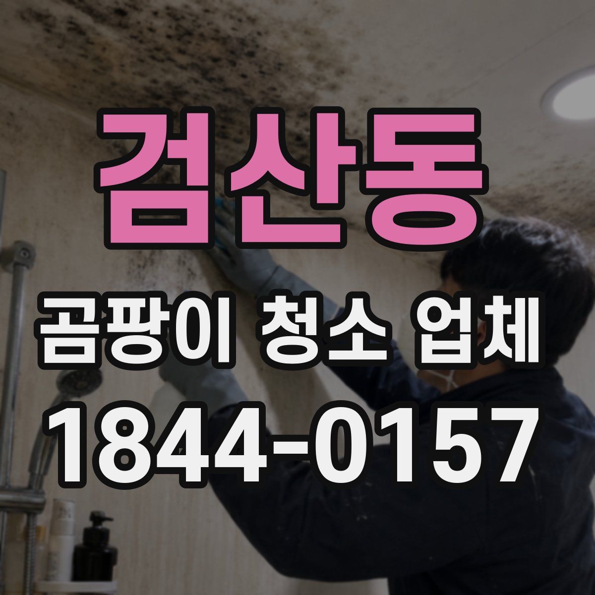 검산동 곰팡이 청소 업체