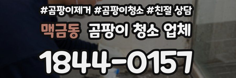 맥금동 곰팡이 청소 업체