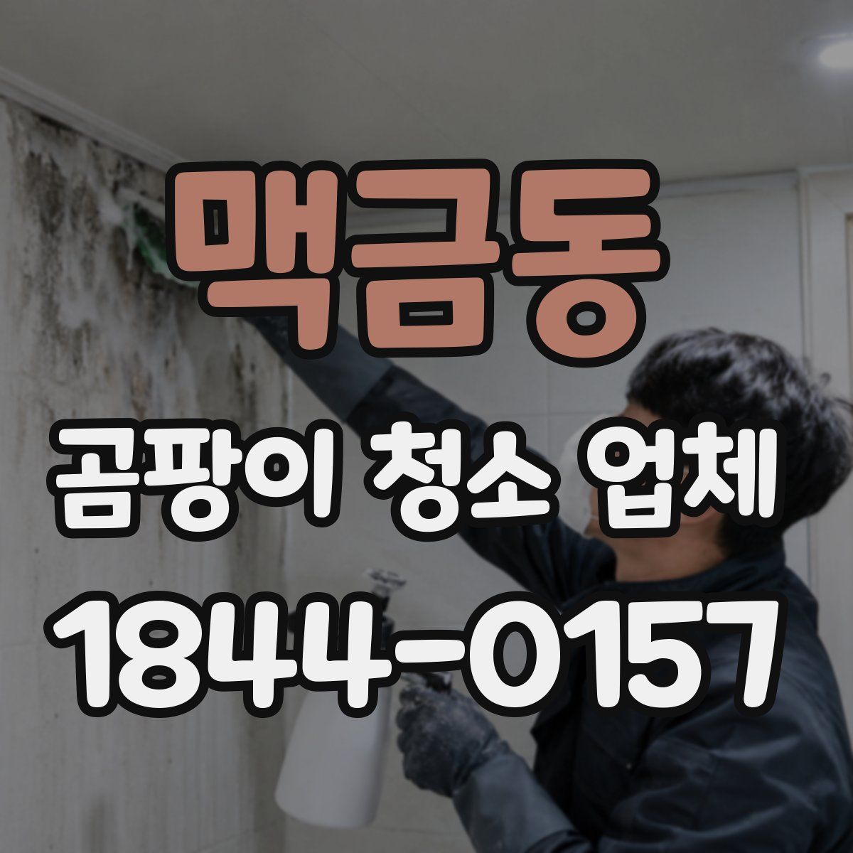 맥금동 곰팡이 청소 업체