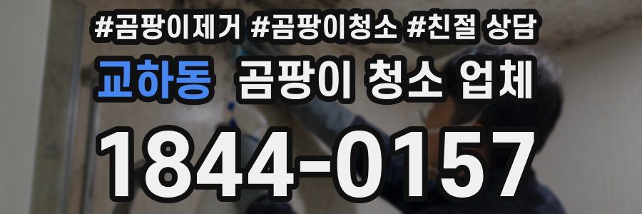 교하동 곰팡이 청소 업체