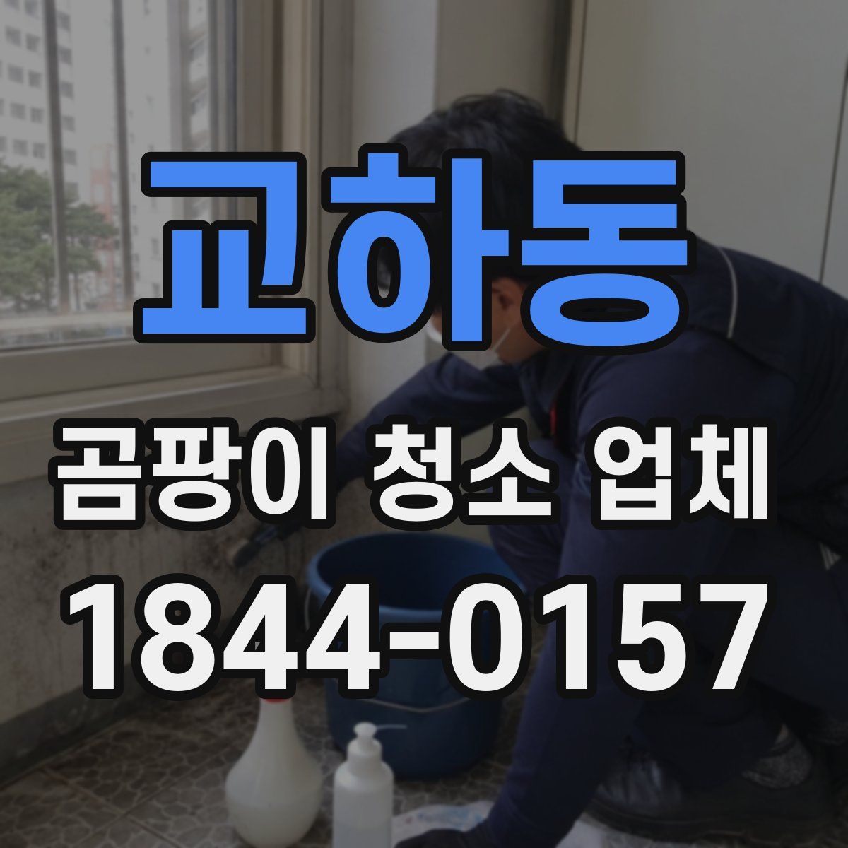 교하동 곰팡이 청소 업체