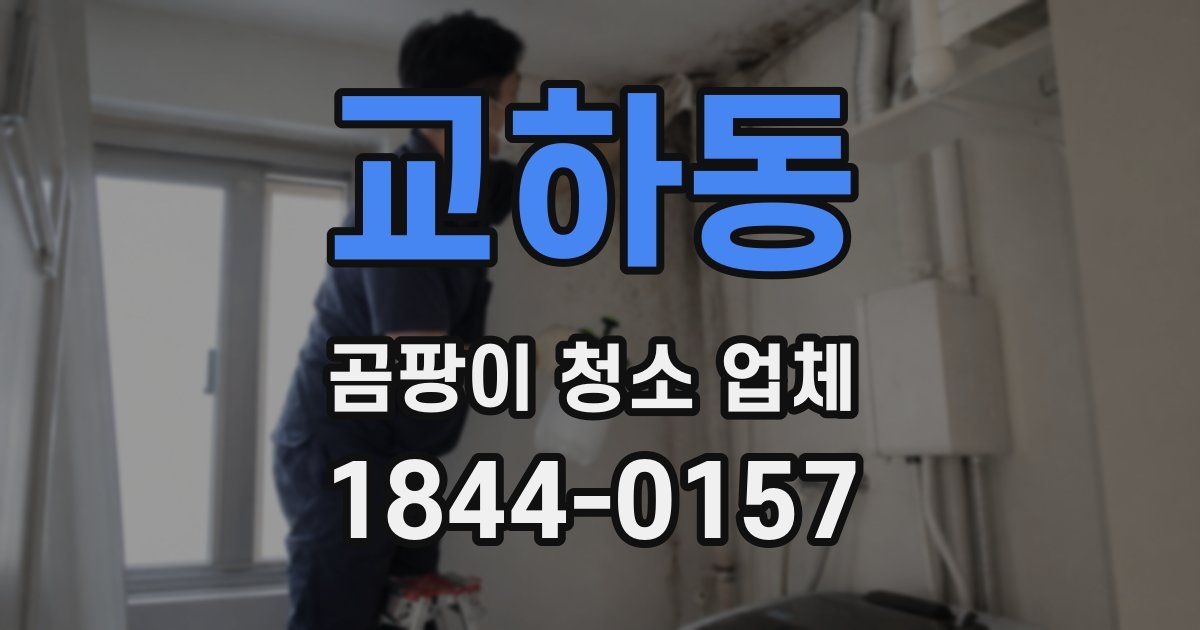 교하동 곰팡이 청소 업체