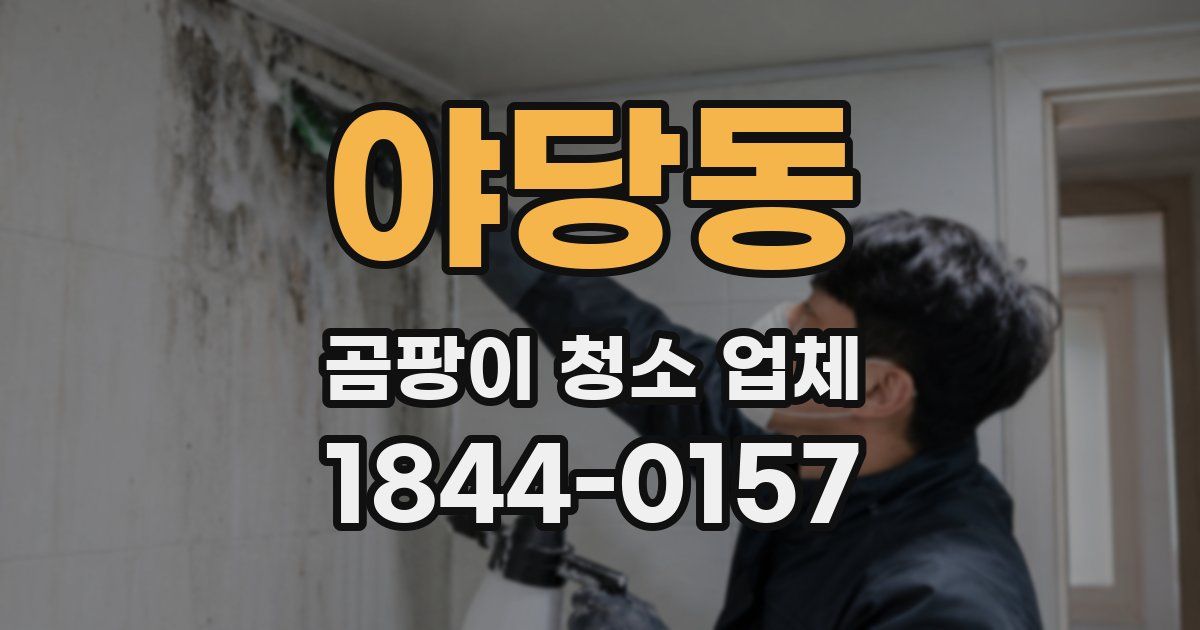 야당동 곰팡이 청소 업체