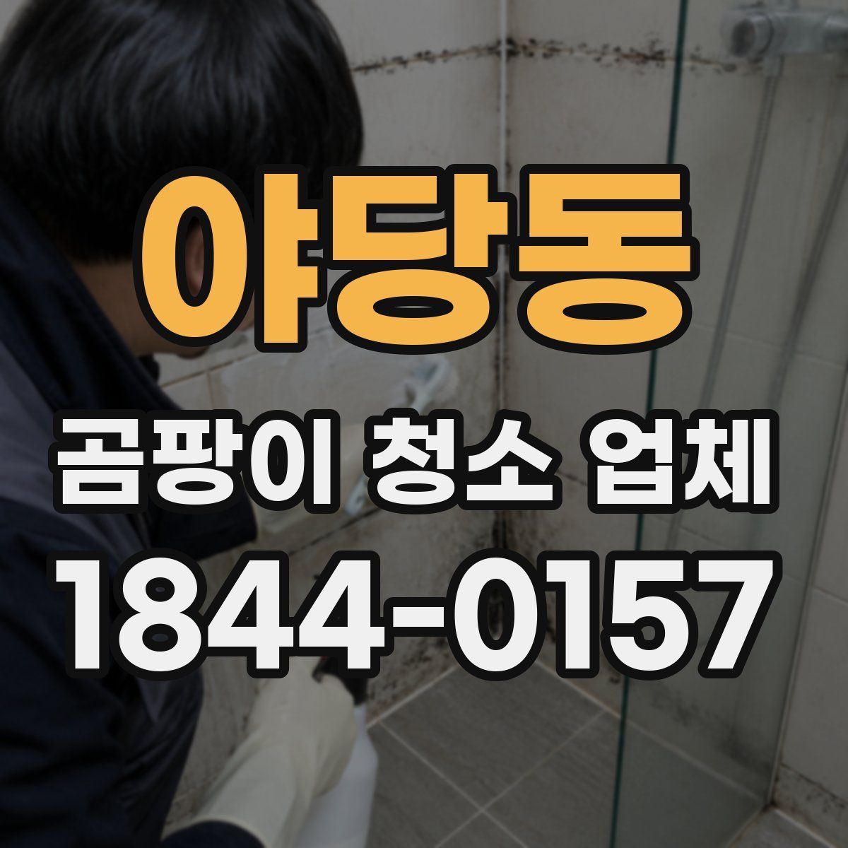 야당동 곰팡이 청소 업체