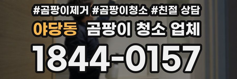 야당동 곰팡이 청소 업체