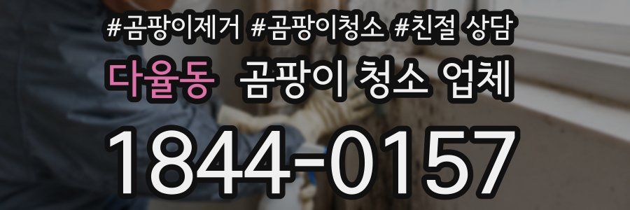 다율동 곰팡이 청소 업체