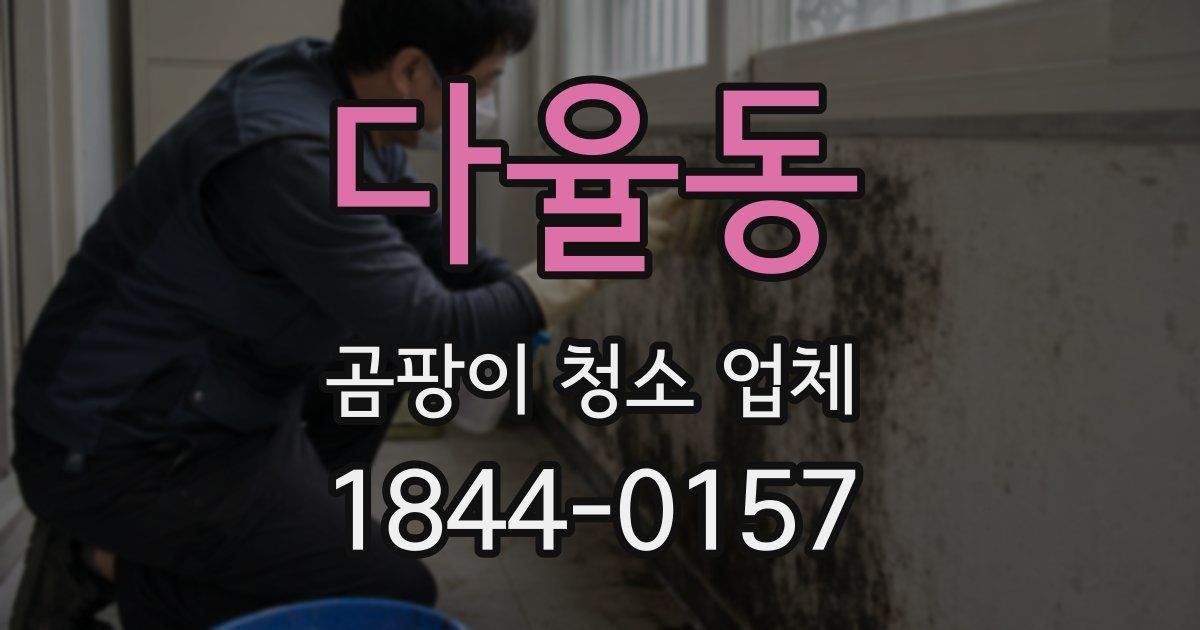 다율동 곰팡이 청소 업체