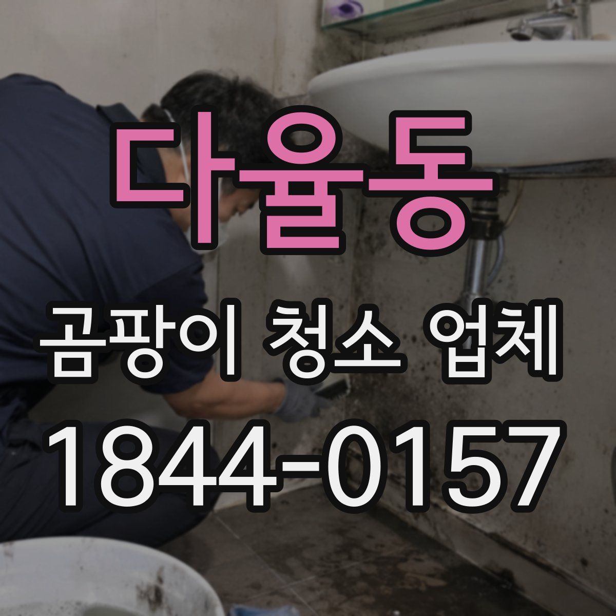 다율동 곰팡이 청소 업체