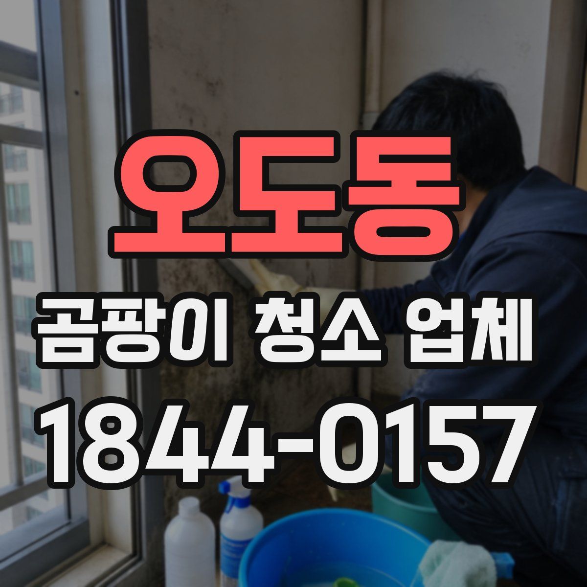 오도동 곰팡이 청소 업체
